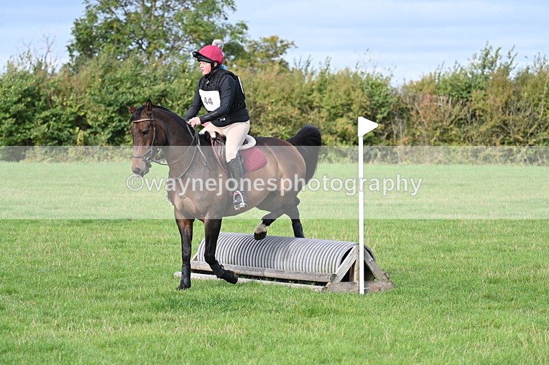 WJ7_8282 - 60cm Pairs