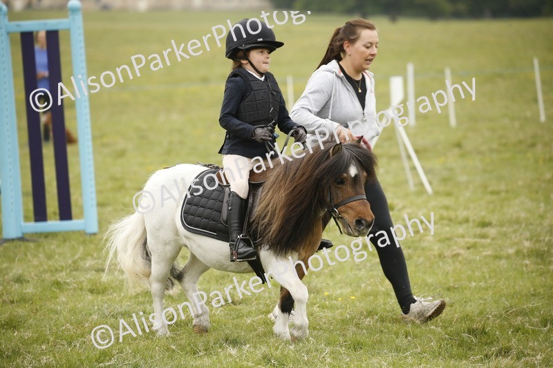 20250517-0264 - Class 1 - 30cm On Lead Rein