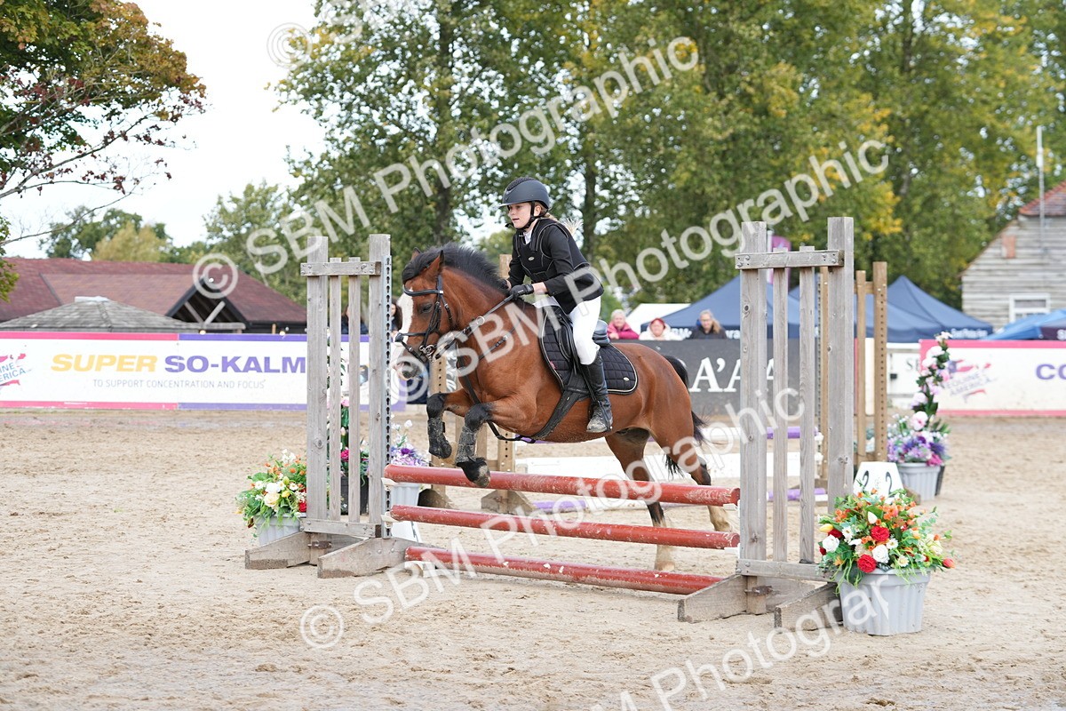 SBM_40859 - Supreme championship 50cm 55cm