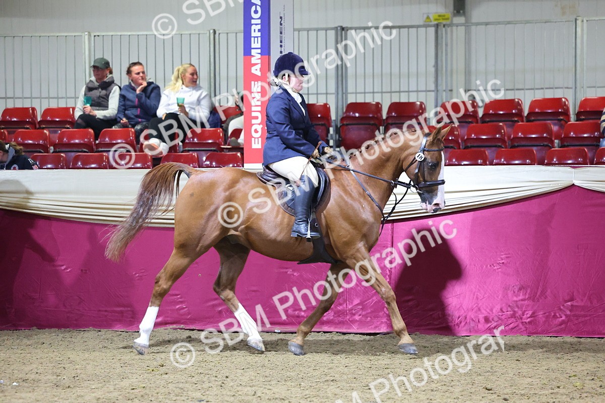 0B8A4577 - Class Q Style & Performance Champ