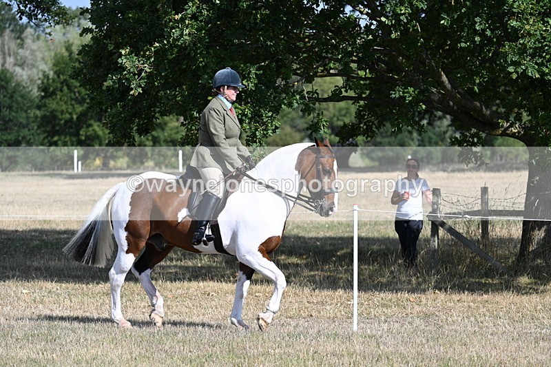 WJ7_2787 - Class 8 Ridden Tack & Turnout