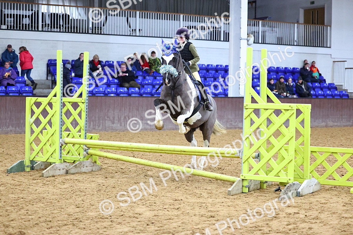 SBM_001247 - Class 3 - Christmas Tree Stakes - 60cm