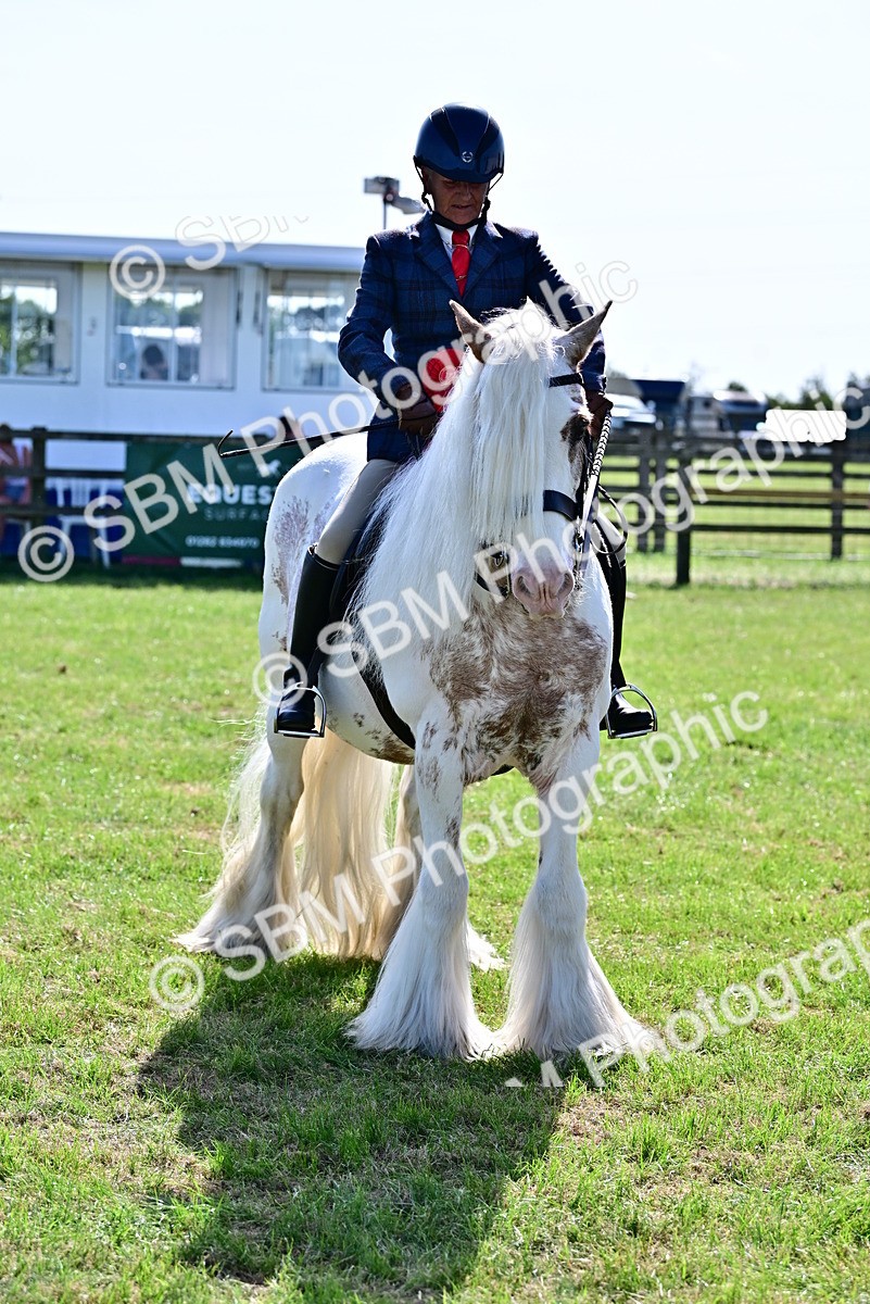 SBM_09426 - Class 63-65 - Traditional Gypsy Cobs In Hand & Ridden