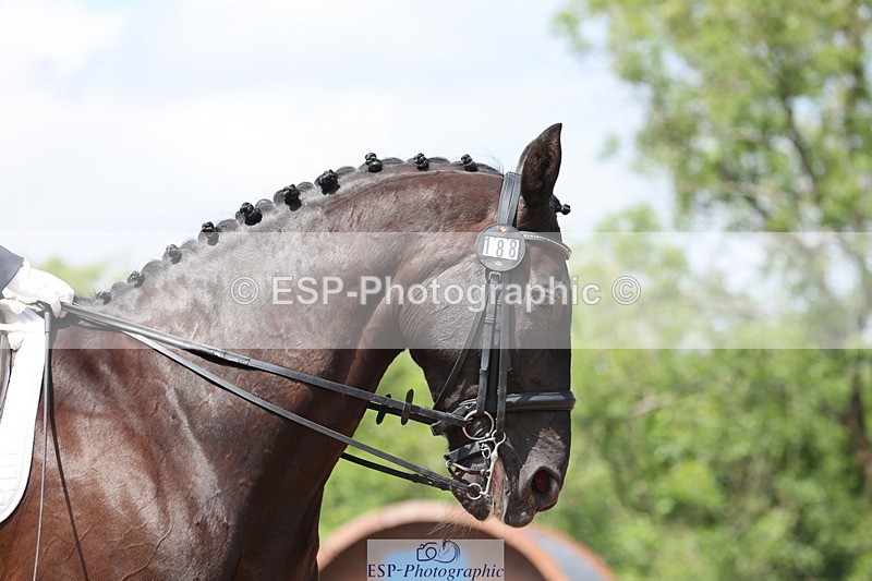 240621A-132753-01067 - Cls 15 BD Music Adv Medium