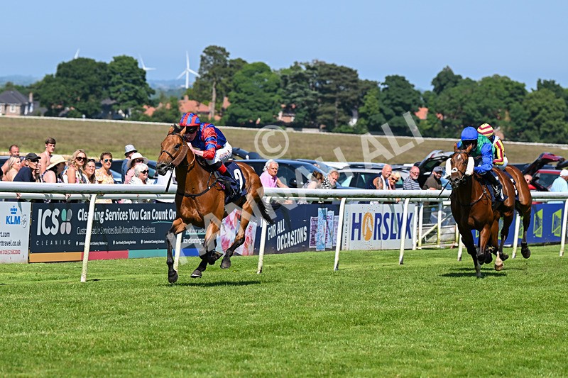 250624-Race 5-Drink Dry-5769 - Race 5