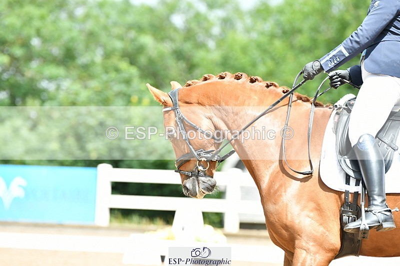 230701A-112311-04922 - Cls 9 Music Elementary