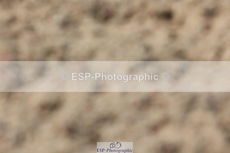 250620-150208-04617 - BD Cls 19 - FEI Inter I