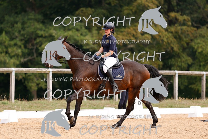 _R6A2387 - Dressage Morning
