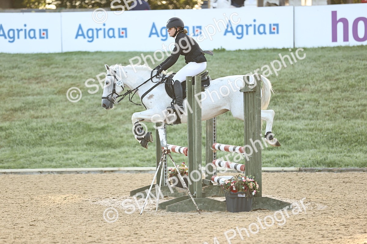 SBM_32899 - J38 - Senior 80cm Championship