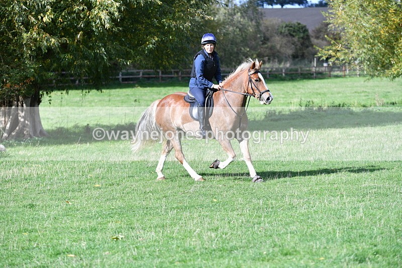 WJ5_8201 - Time 10:31 to 12:01