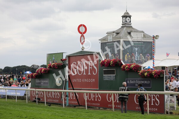 yr18082022r2-28 - Race 2 2.25pm Goffs UK Harry Beeby Premier Yearling Stakes