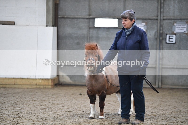 WJ5_5137 - Class 7 In hand coloured / odd coloured