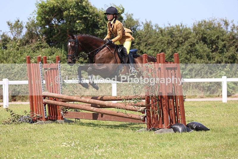 JPP_3070 - Class 22: Working Hunter 70cm