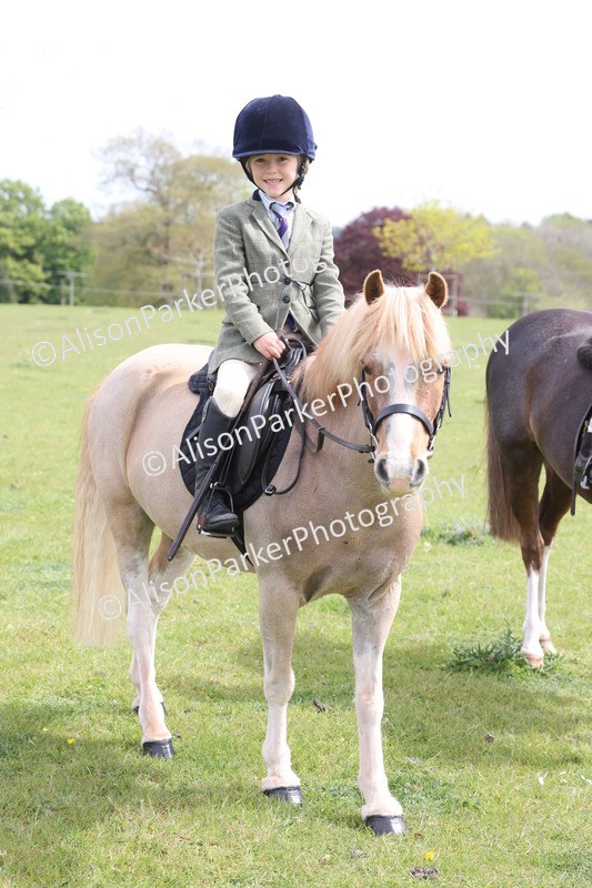20260426-3013 - Class 33 - Best Pony 14.2hh and Under
