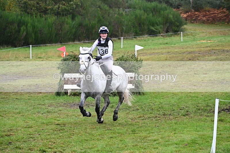 WJ6_2369 - 80cm Cam 1 Time 11:23 to 12:04