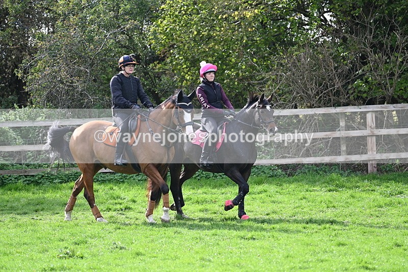 WJ7_0419 - Time 13:55 to 14:26