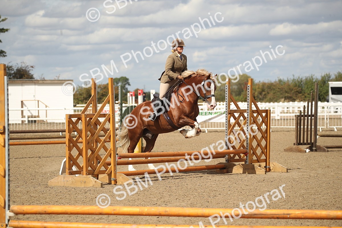 SBM_14553 - Class 505a - M&M Working Veteran - 50cm (15-19)