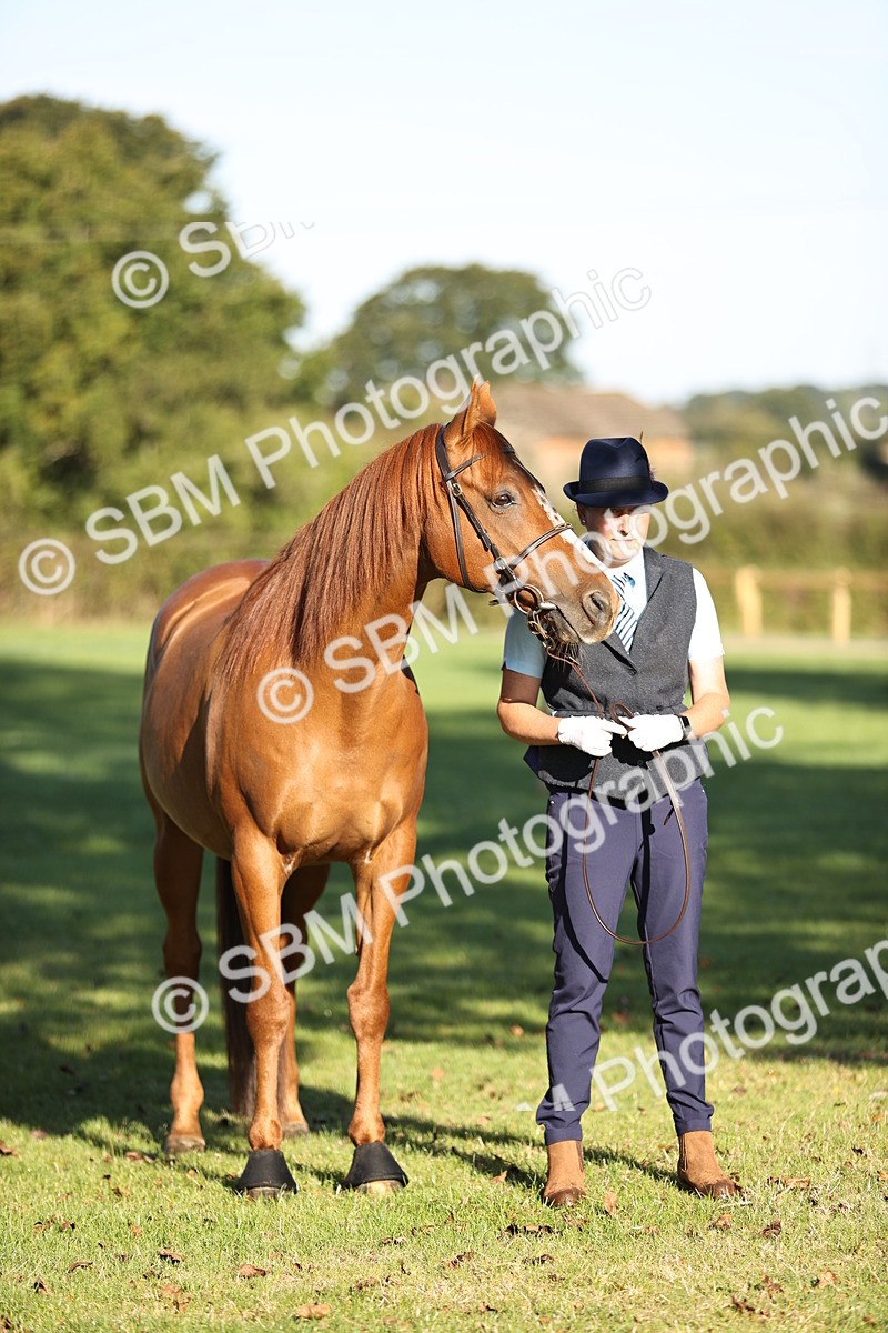 SBM_15680 - S1 - TSR in Hand Horse & Pony Showing