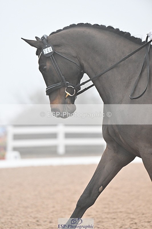 240217A-103917-01141 - 244-Tamara.Egglestone-OLINDE