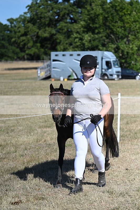 WJ7_1861 - Class 43 Best Six Legs (In hand)