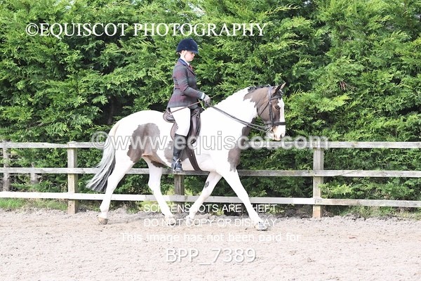 BPP_7389 - RING 1  (RIDDEN HORSES / IN HAND / VETERAN ETC)