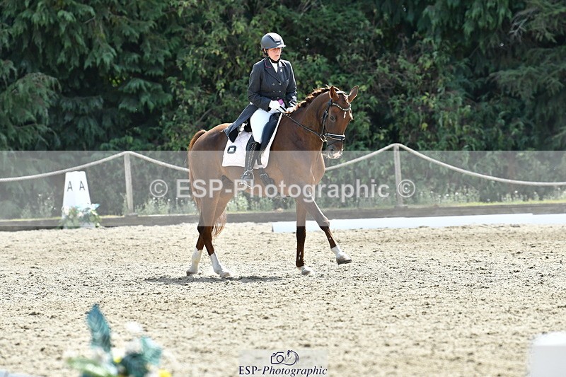 260802A-152619-07404 - Intermediate Bronze