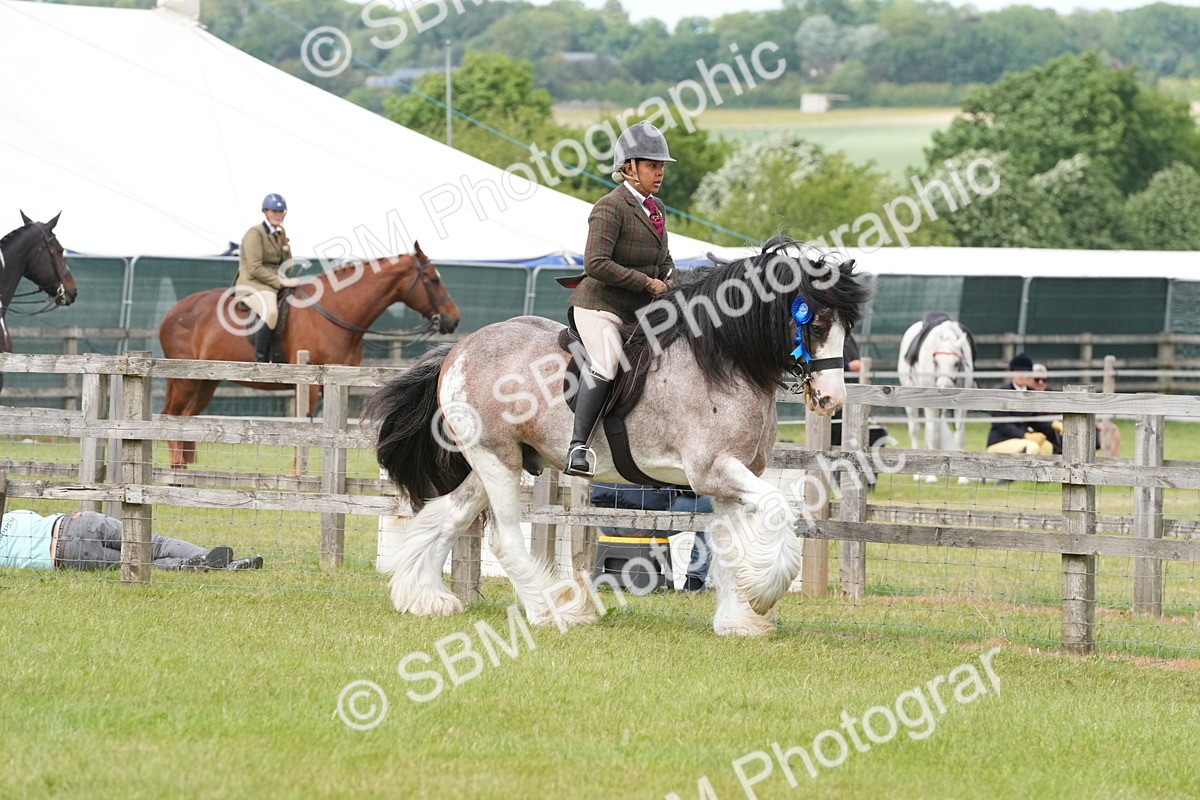SBM_17650 - Class 107-108 - LIHS BSPS Performance Coloured Horse Pony