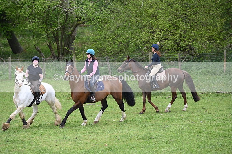 WJ6_3152 - A camera