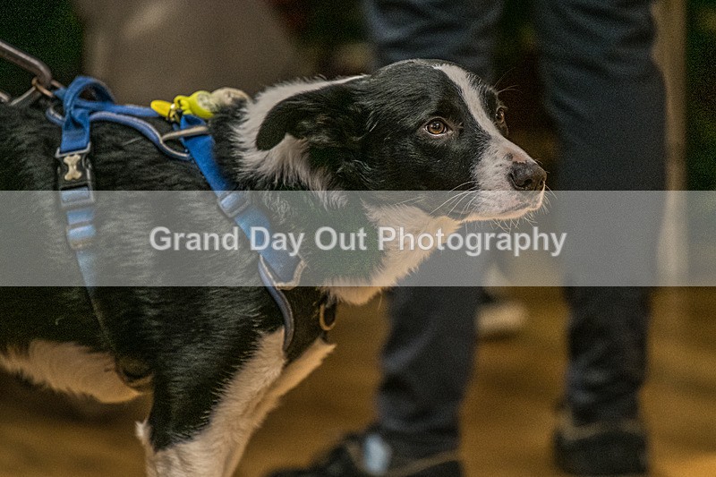 Litton-2 - Litton Christmas Cracker Fell Race (Limestone Series) Sunday 14th December 2025