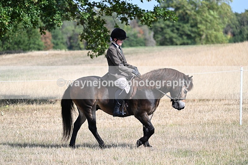 WJ7_2666 - Class 8 Ridden Tack & Turnout