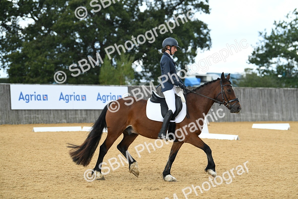 SBM_07271 - D15 Small Tour Championship Novice 24