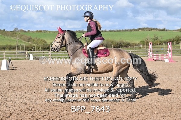 BPP_7643 - CLASS 10 Pony British Novice / 0.80m Open