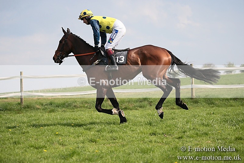 PtP 210418 408 - South & West Wilts Point-to-Point Larkhill 21/04/18
