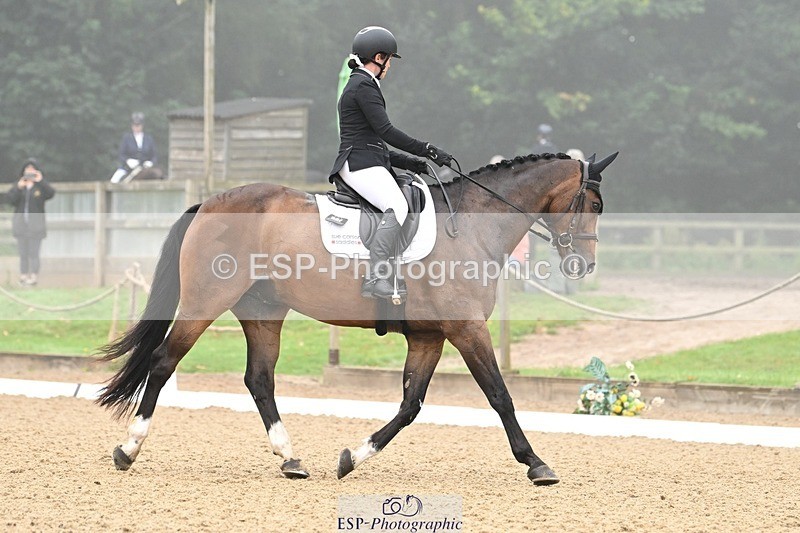 240811-093651-04819 - 119-Alice.Kneen-Dazzling.Springtime