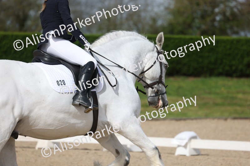 20260404-0430 - Class 3 - Prelim 1