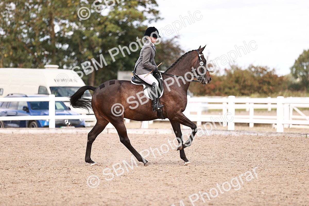 SBM_14462 - Class 410 - Grassroots Ridden - Horse