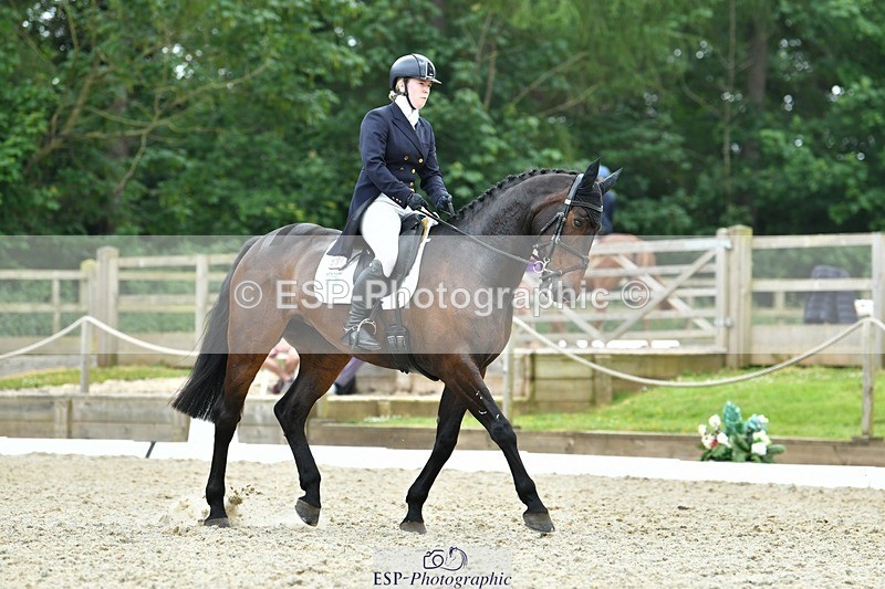 230525-124107-04250 - 209-MONBEG_EBONY-Molly_Fletcher-WEDTrotUp+DR