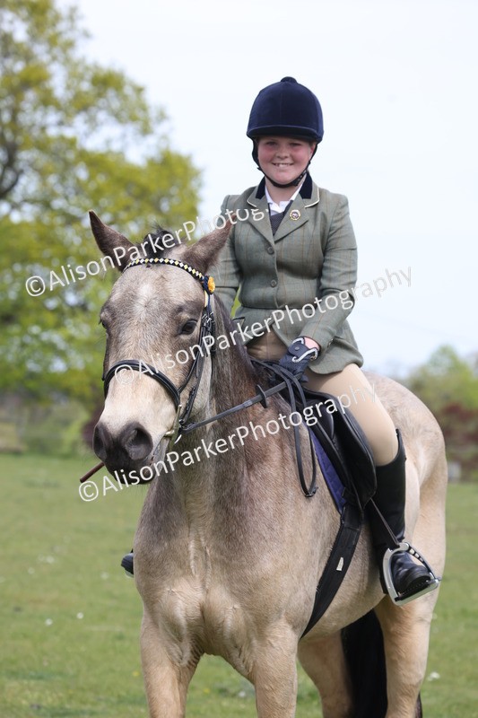 20260426-4375 - Class 34 - Best Riding Horse Over 14.2hh