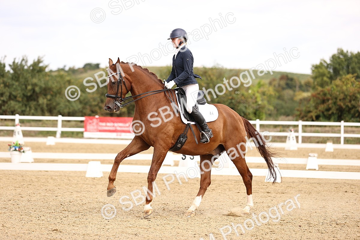 SBM_013013 - Class 2 - Advanced Medium 5 - 10.35-11.55