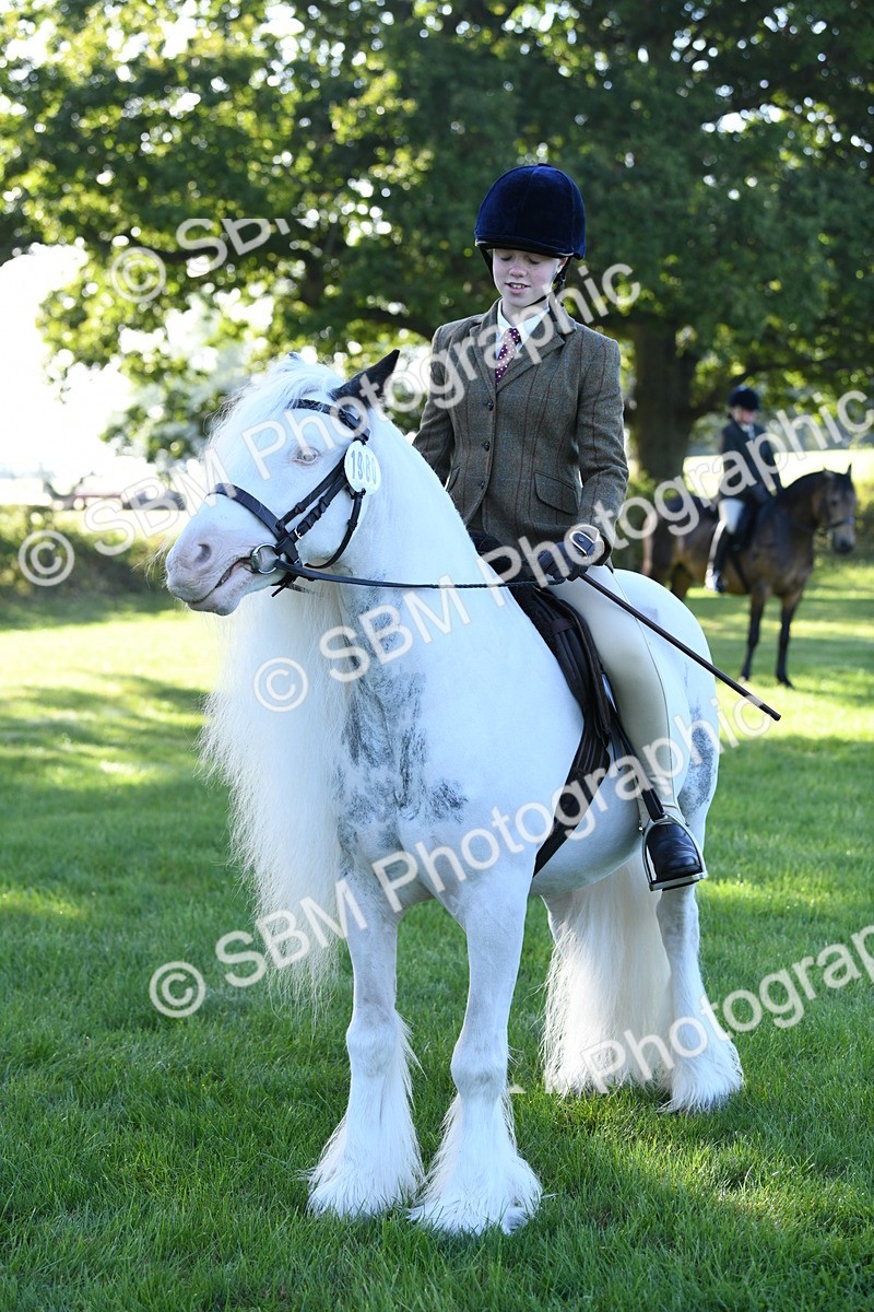 SBM_34011 - S16 - Condition & Turnout - Ridden