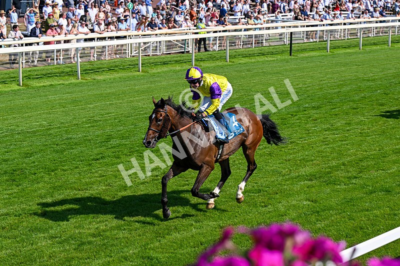 100726-Race 5-Dark Moon Rising-0363 - Race 5 16.30pm Azets Handicap