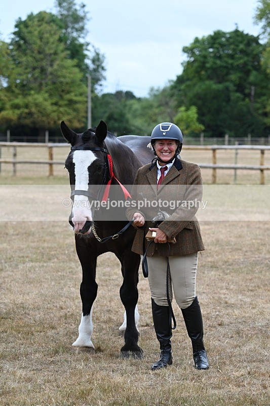 WJ7_0220 - Gelding Champs