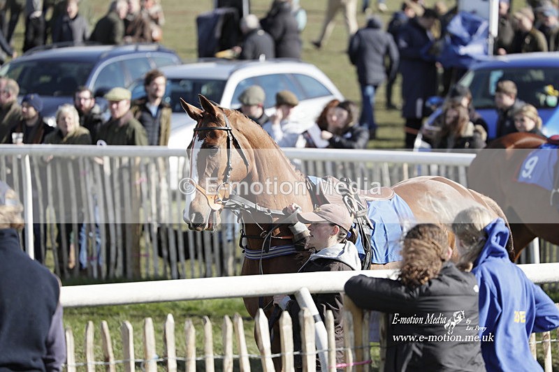PtP 100423 971 - Old Berkshire Point-to-Point Lockinge 10/04/23