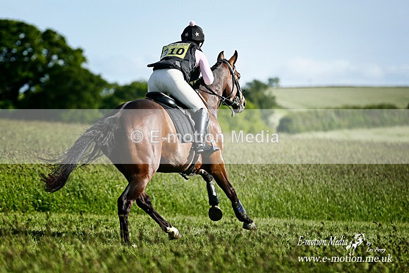 _LES8117a - Equestrian