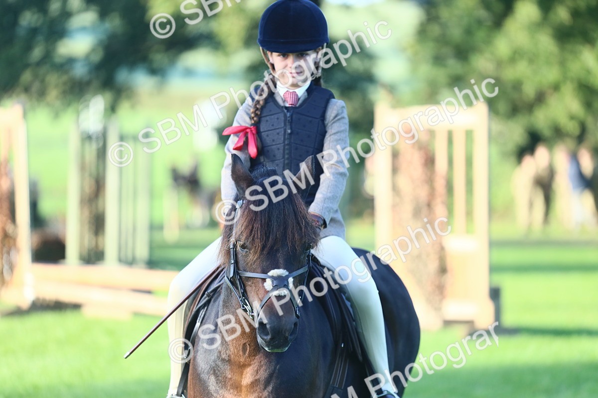 SBM_37310 - S29 - Novice & Newcomers Working Hunter Pony