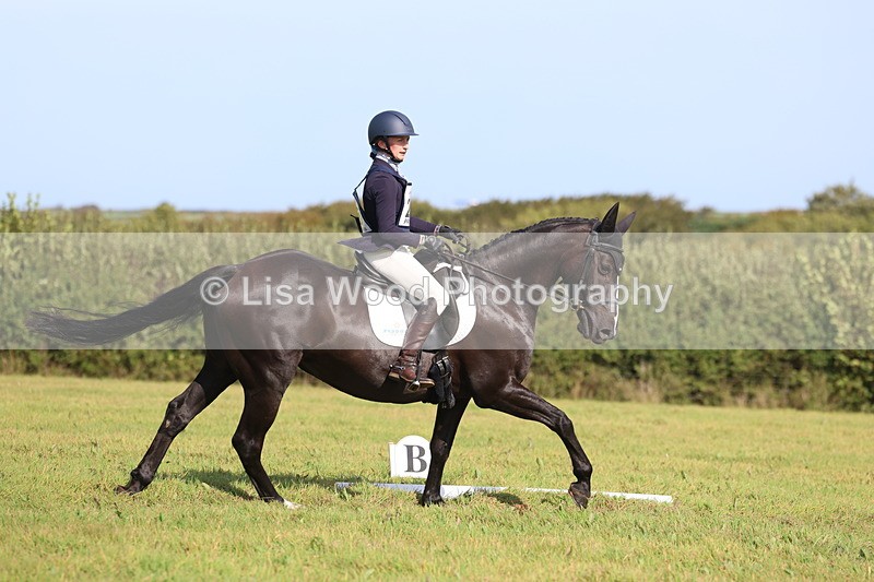 3E7A6387 - Class 2A: Trekenning Open: Dressage