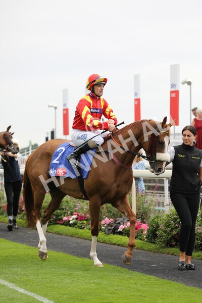 yr23072022r2-7 - Race 2 2.40pm Sky Bet Dash