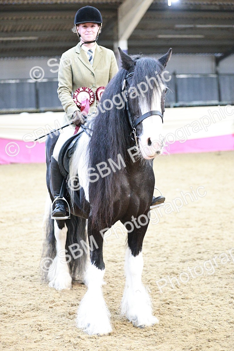 SBM_08706 - Regional Ridden Champ