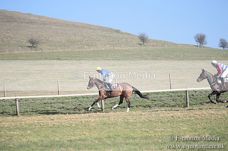 PtP 230219 131 - Vine & Craven Point-To-Point - Barbury 23/02/19