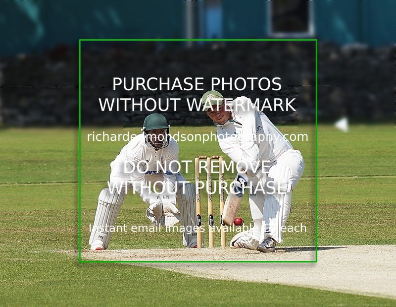 DSC03293 - Leyland CC 6 July 2019